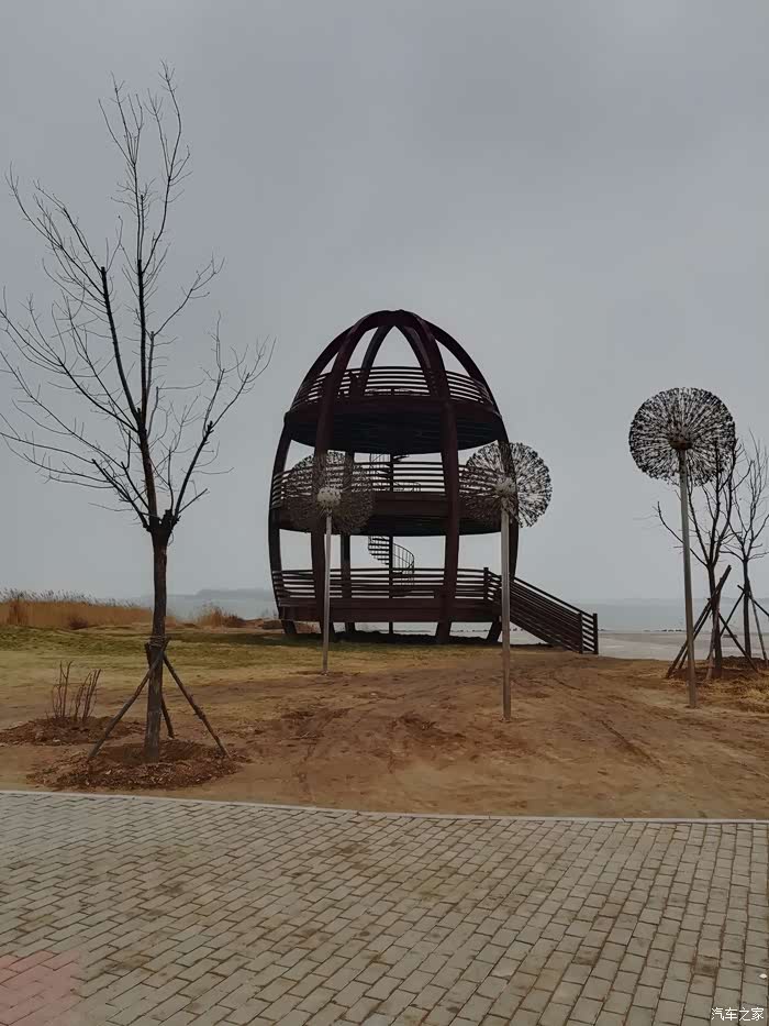 衡水湖畔观鸟亭,鸟类很多,湿地鸟类天堂