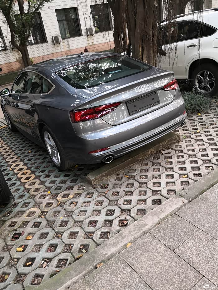 【图】季风灰怎么样?_奥迪a5论坛_汽车之家论坛