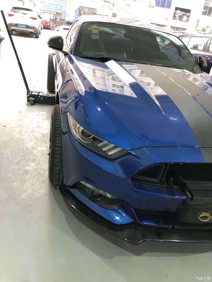 【图】谁说是条狗#野马改宽体_野马f19论坛_汽车之家论坛