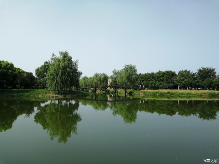 浏河湿地公园图片