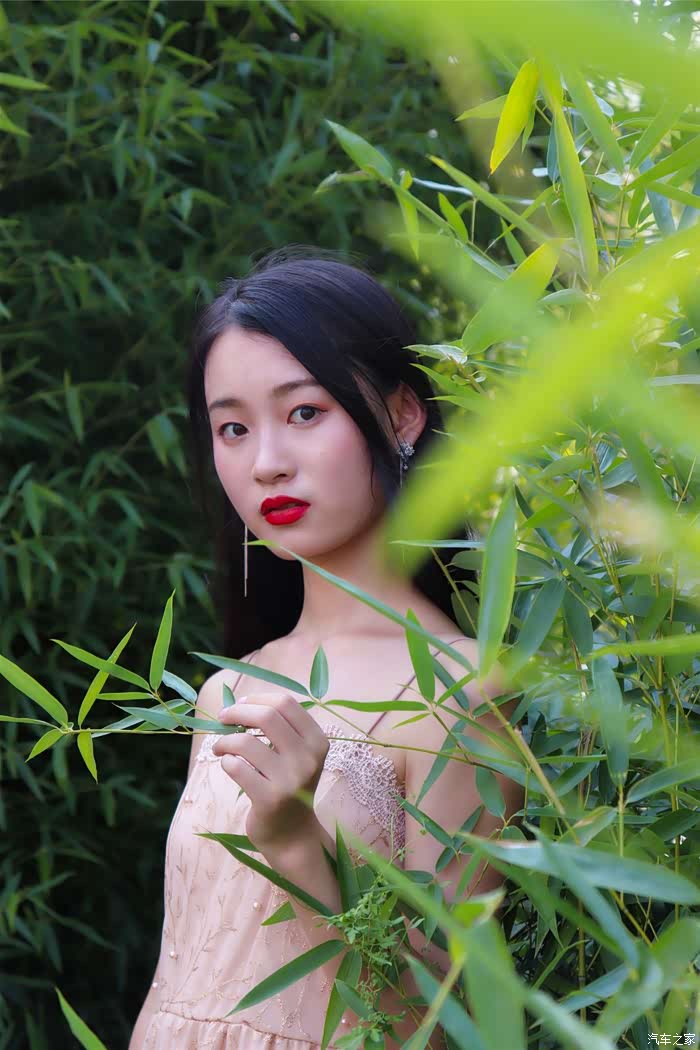 女神当车模竹林深深美人幽幽帝豪gs曼妙夏日时光