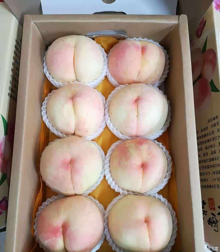 【无锡cs75车友会】车友会主题活动-采摘水蜜桃