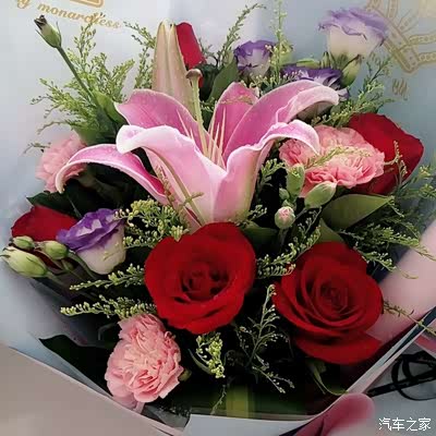 赏 0  1 0点赞 收藏 分享 0人赞赏