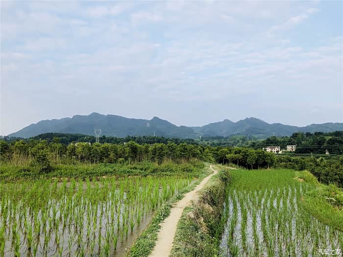 深圳cs75车友会097杜杜夏日的田野