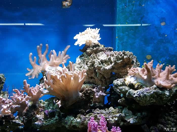 风雨无阻兄弟之情五百里湛江之行虚惊一场