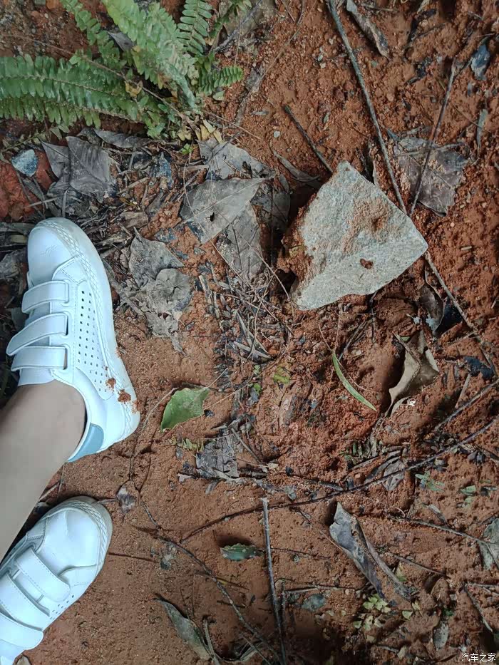 额,白鞋踩到泥巴,处女座  我的你们懂的
