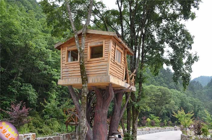 【图】佛坪熊猫一日游_众泰t600论坛_汽车之家论坛