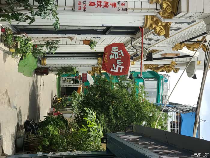 夏屿慢游时光记