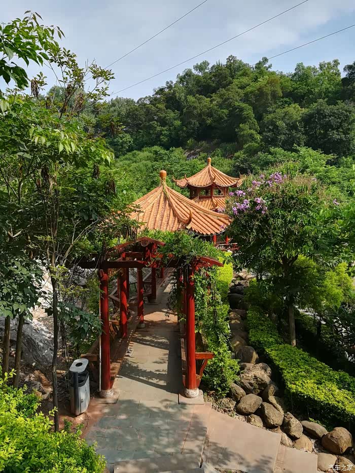 广西壹家人车友会郁郁葱葱自驾蒲津公园