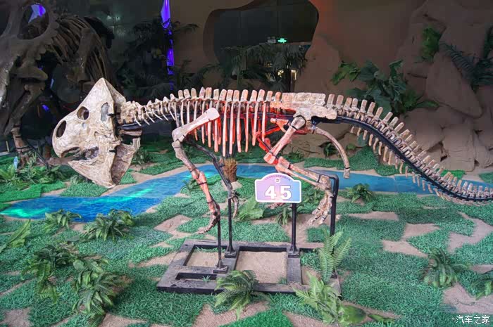 诸城龙立方展馆