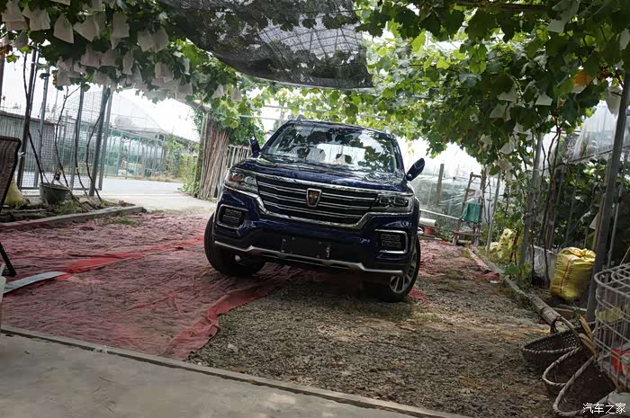 魔都台风鲜格格开rx8摘葡萄追台风