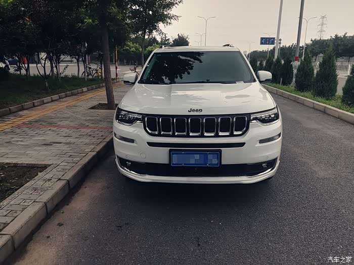 选定了不犹豫提白色大指挥官