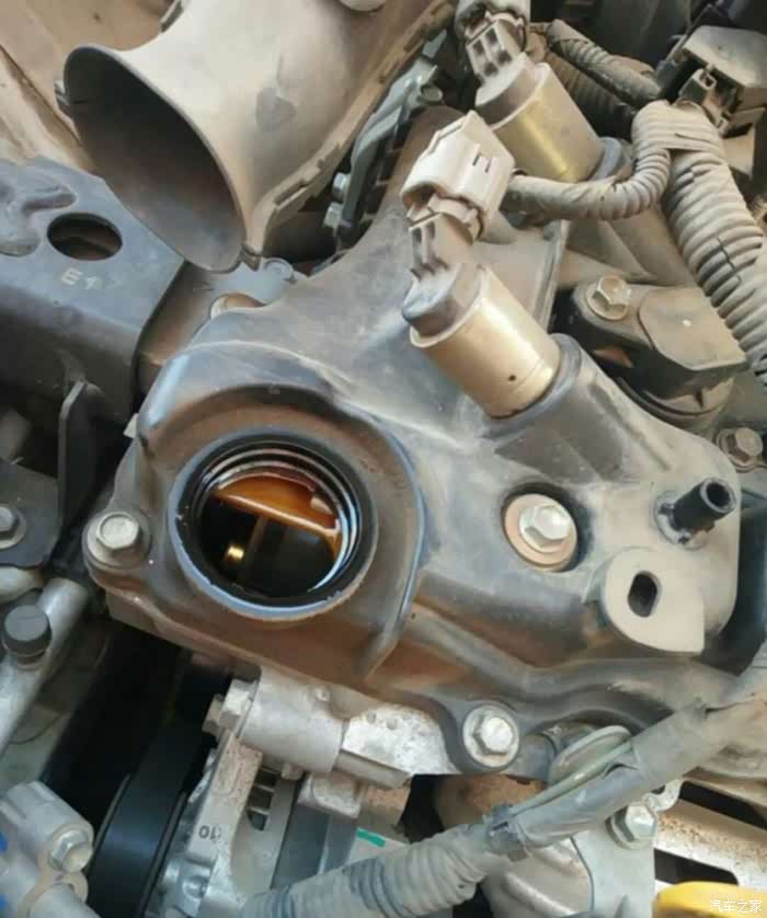 【图】粗粮换细粮,给小白换进口机油_威驰论坛_汽车之家论坛