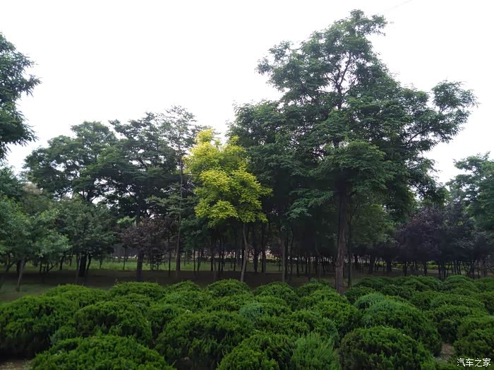 悠哉游玩邢台动物园看狗熊跳舞