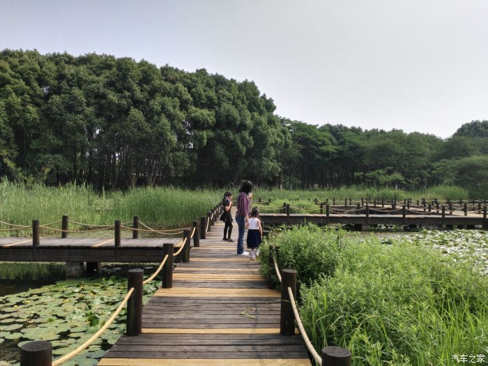 花桥湿地公园图片