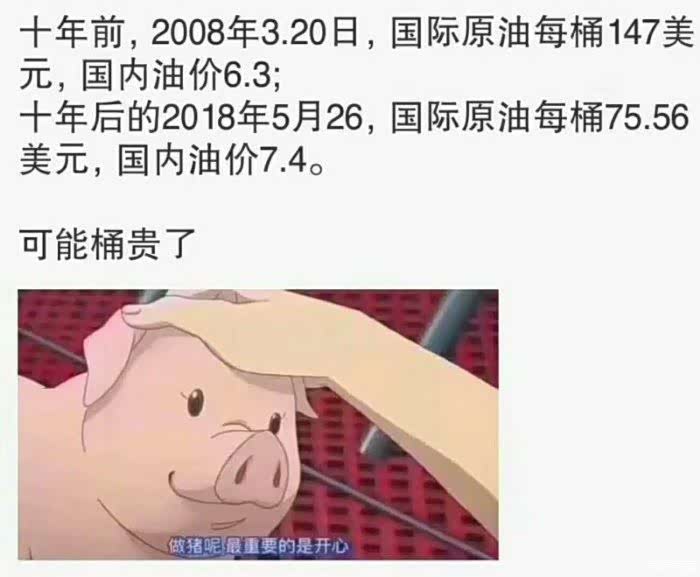 做猪呢最重要的是开心