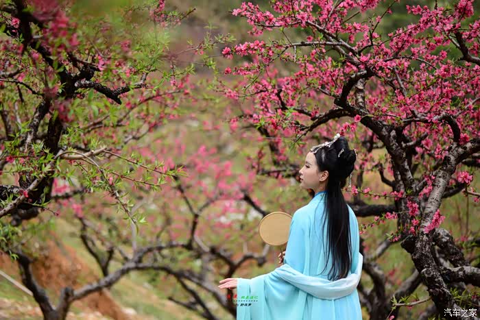 人像翁源桃花源记