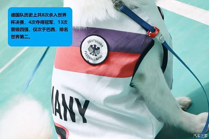 世界杯特辑足球宝贝为德国队打call