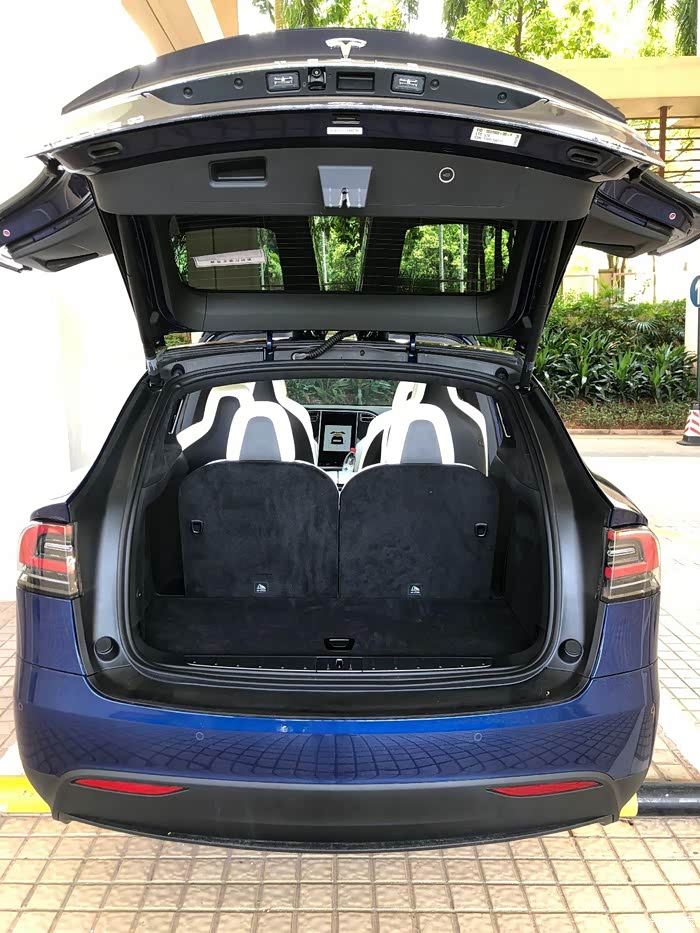 【图】特斯拉 model x 蓝外白内 6座 带中排扶手用车感受与体验_model