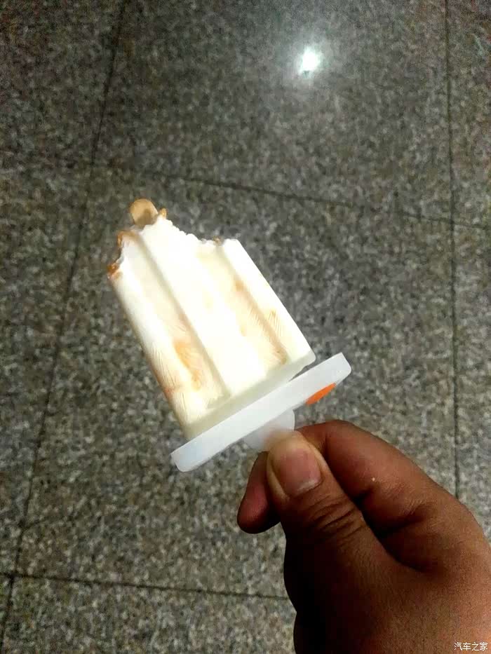 无,洗钢笔及自制的棒冰