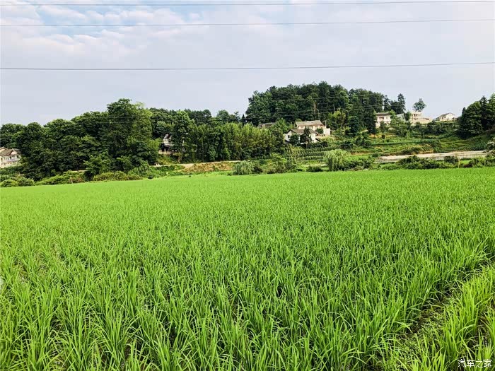 深圳cs75车友会097杜杜夏日的田野