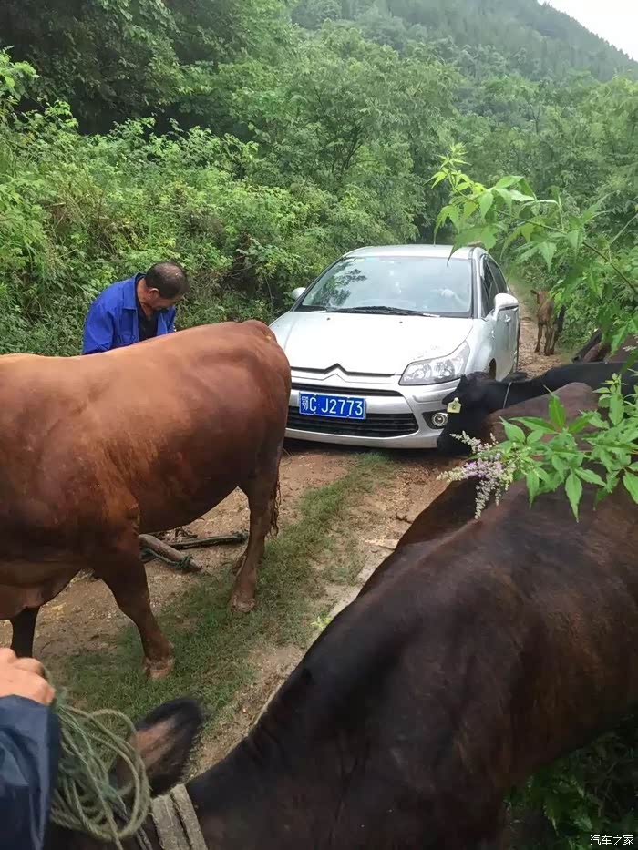 以前世嘉钓鱼··可怜的车,托底了·牛拉出来的