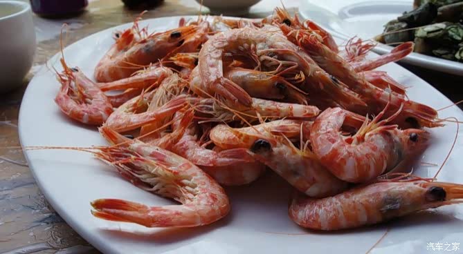 小狮子游外伶仃岛