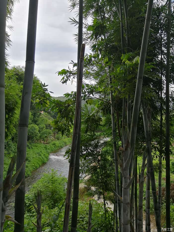 广东wey车友会wey聚增城尽享联安水库风光