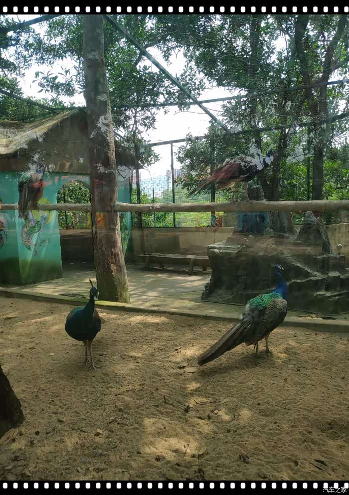 【支持育儿论坛】龙凤山庄一日游