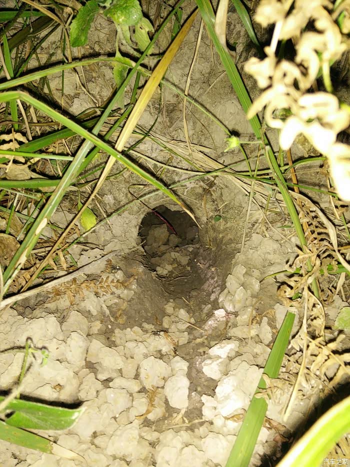 开着75去钓鱼,摘果,然后吃烤鱼,晚上去捉田鼠.