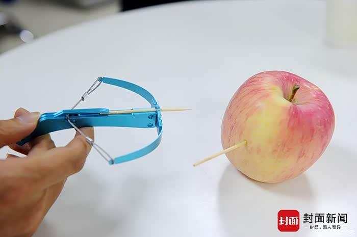 可以买弹弓放车上吗.