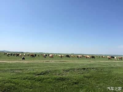 计划的张北草原天路、沽源、白石山,纠结11、