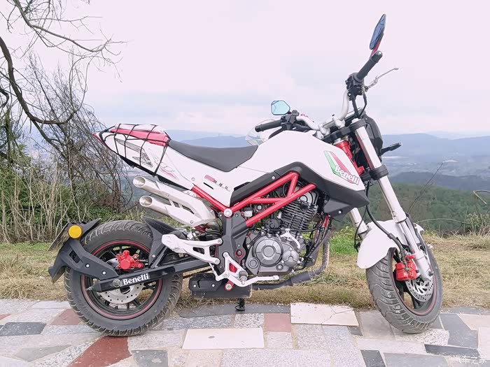 【图】提了小暴龙了 找到组织了 不知道有没有日系