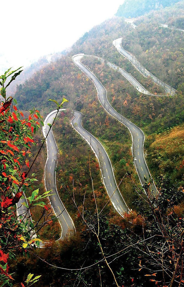 【图】今天开了下山路,觉得世嘉是不是不适合开山路啊_c4世嘉论坛