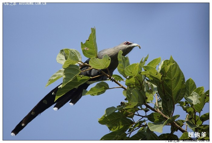 青秀湖公园,带着女儿学打鸟