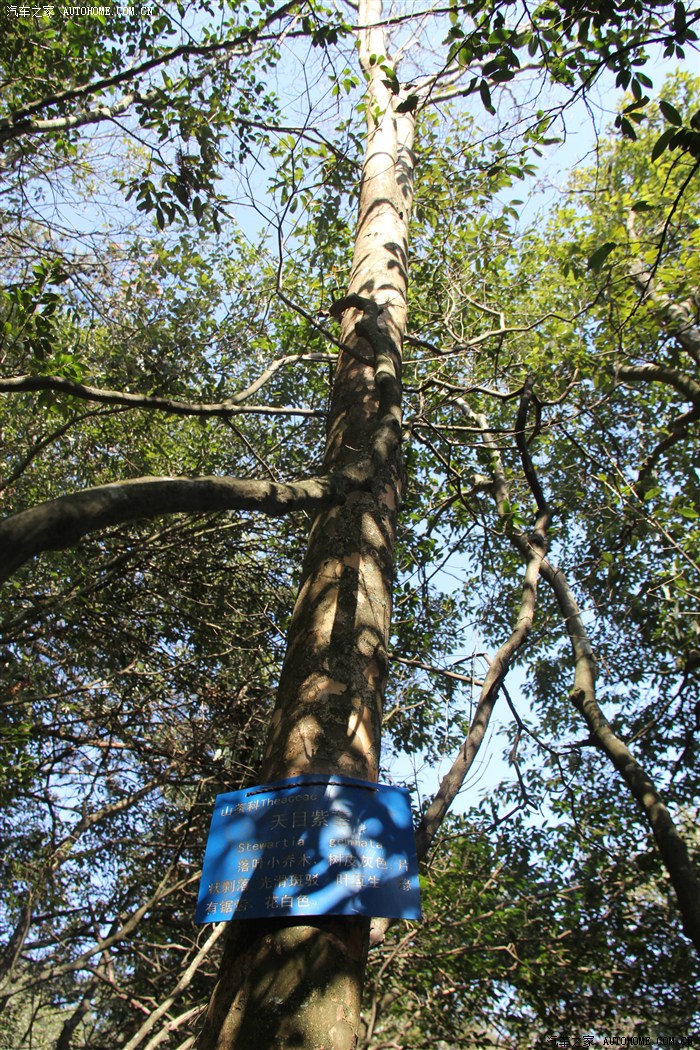 【图】【媳妇去哪儿】逃离魔都,寻找一片恬静的二人