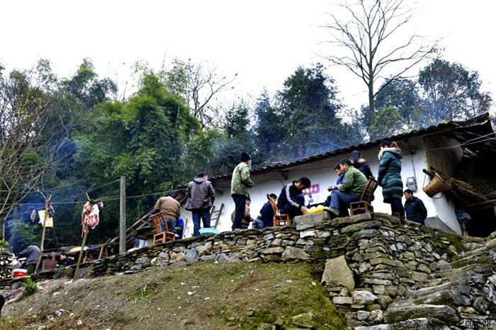 【图】土家族的风俗---杀年猪_湖北论坛_汽车之家论坛