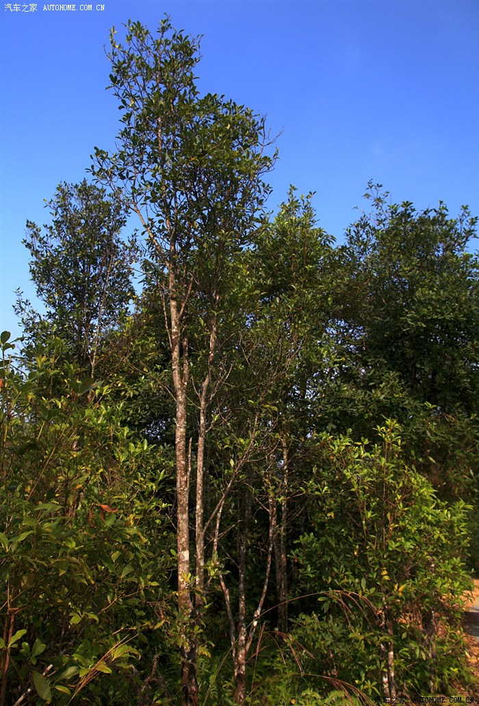 【摄友会】三个老男人的天等行摄故事 39,40,102楼更精彩