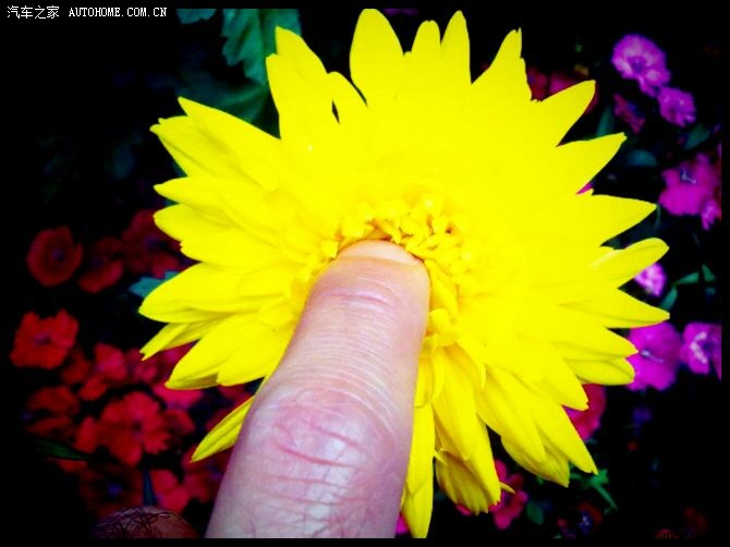 自己尝试"爆菊花"的快感!