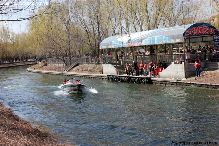 【图】【乡长】周日动物园游记_北京论坛_汽车之家论坛