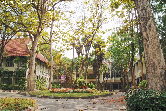 隨意拍的清邁大學校園,每一隅都有風景.