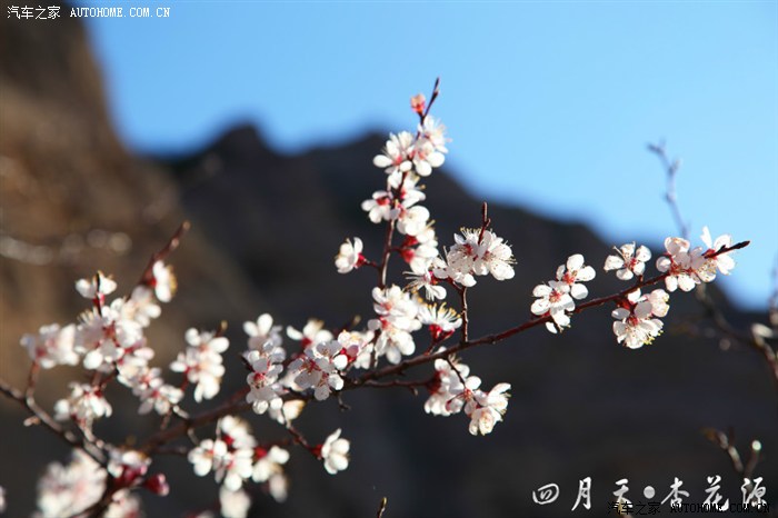 人间四月天 世外杏花源【2013年清明自驾之旅】
