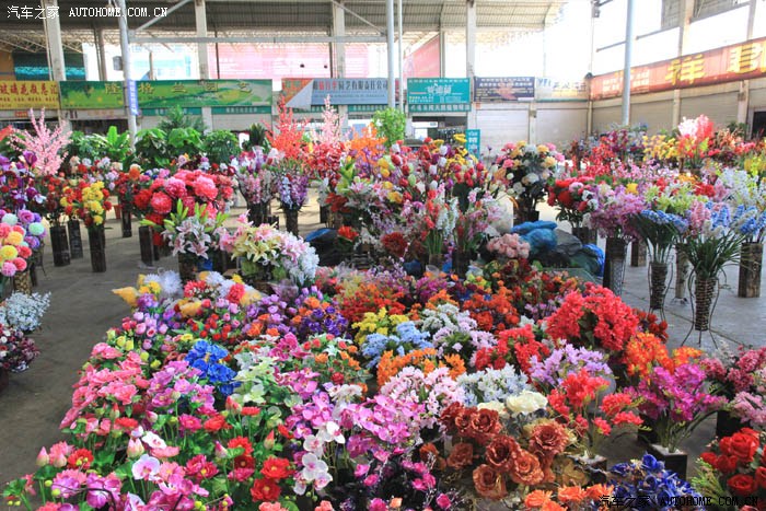 周末——呈贡斗南花卉市场,当采花大盗
