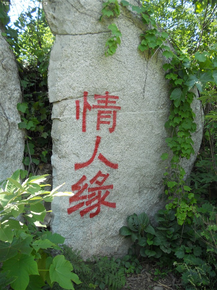 单人单车鲁山忘忧谷