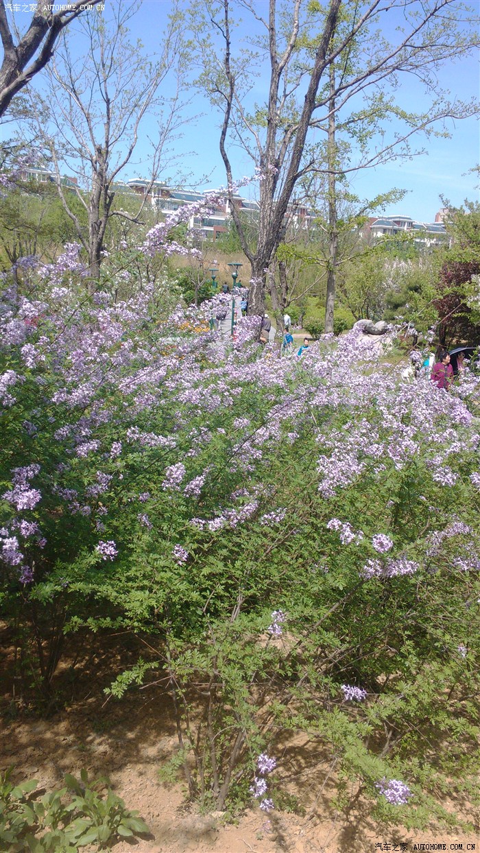 五一植物园游记