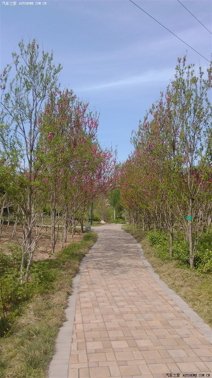 五一植物园游记