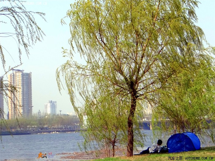 【首页】"寻花问柳"——北国晚春令人醉,乐享辽宁五地觅春之旅