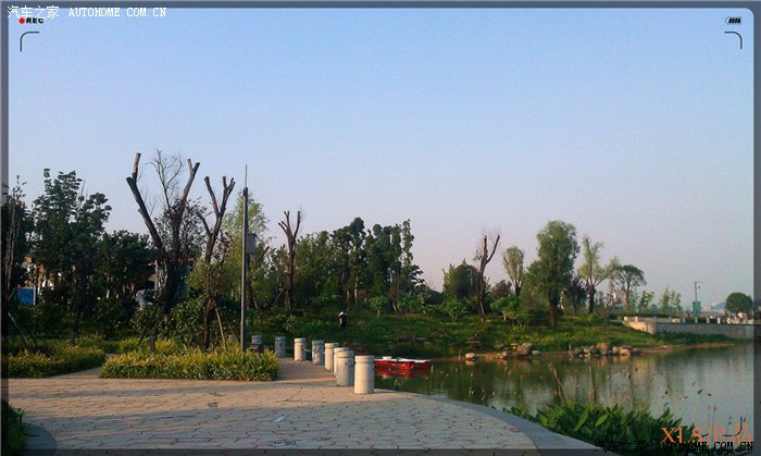 端午节快乐每逢佳节倍思亲公园随拍