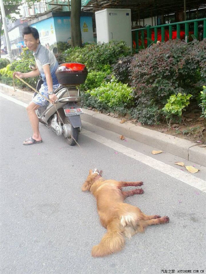 悦动论坛_汽车之家论坛