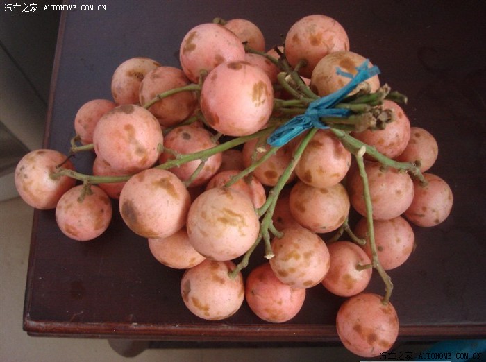 火果成熟了,羊友你们能有口福吗?